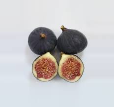 Pure Fig